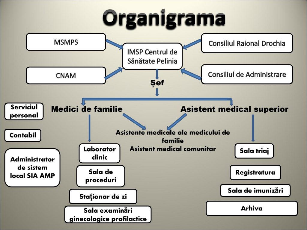 Organigrama IMSP Centrul de Sănătate Pelinia